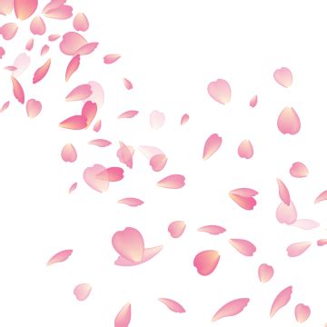 Tag for cherry blossom petals transparent petals tumblr sakura. 2020 的 Cherry Blossom Flower Vector Png Png Free Download ...