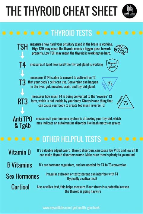 The Thyroid Cheat Sheets Well Labs Thyroid Test Thyroid Issues
