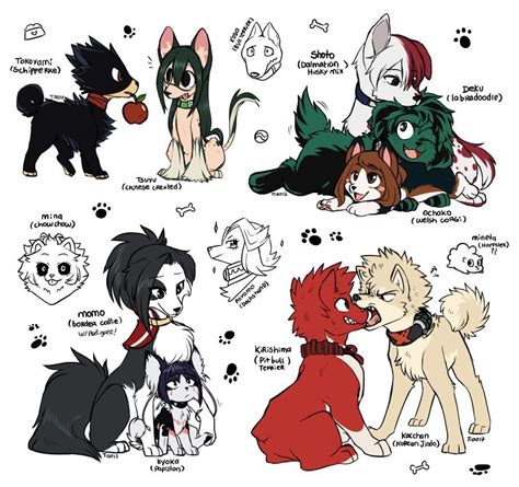 My Hero Academia As Dogs Look At Them My Hero Hero Wallpaper