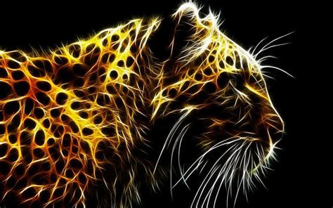 Abstract Animal Wallpapers Top Free Abstract Animal Backgrounds