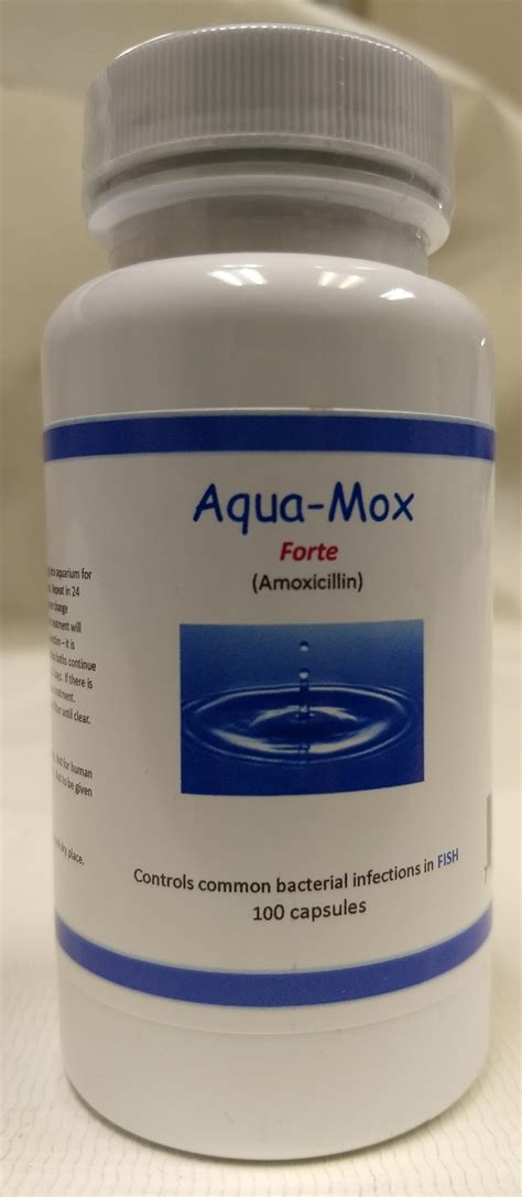 Fish Mox Forte 500mg 100 Amoxicillin Capsules For Fish