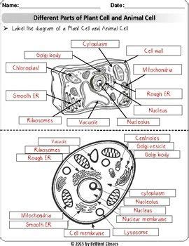 Plant cell labeling worksheet answers. Animal/Plant Cell: Labeling, Venn diagram, Cell Parts ...