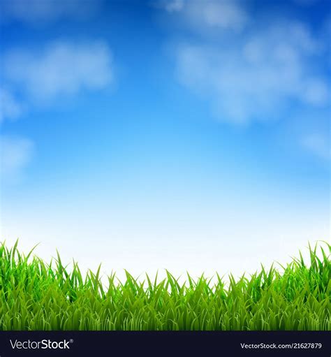 Blue Sky And Grass Royalty Free Vector Image Vectorstock