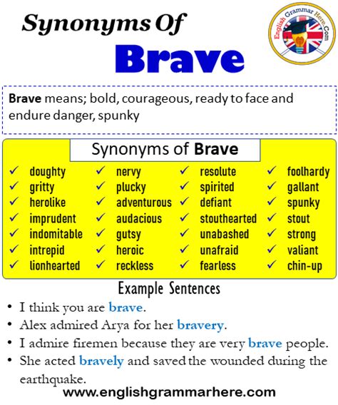 Synonyms Of Brave Brave Synonyms Words List Meaning And Example