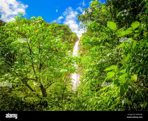 Carbet Falls Or Les Chutes Du Carbet In Basseterreone Of Three