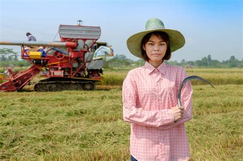 Premium Photo Farmer Woman Wearing Hat Using Sickle To Harvesting Rice Paddy In Rice Field