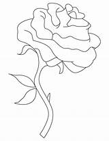 Rose Single Coloring Pages Kids sketch template