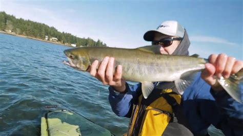 Beginners Guide To Fly Fishing Chum Salmon In Puget Sound Youtube