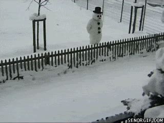 Funny Snowman Viral Viral Videos