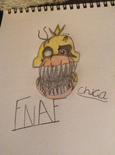 I Drew Chica Five Nights At Freddys Amino