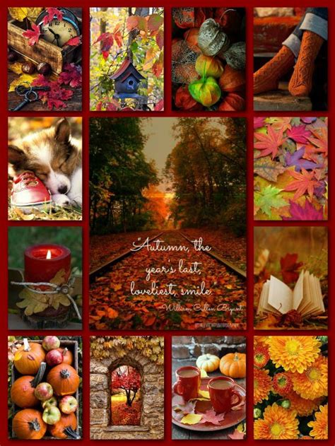 Pin On Moodboards Of Autumn~