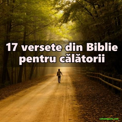 17 Versete Din Biblie Pentru Călătorii Calea Ingusta