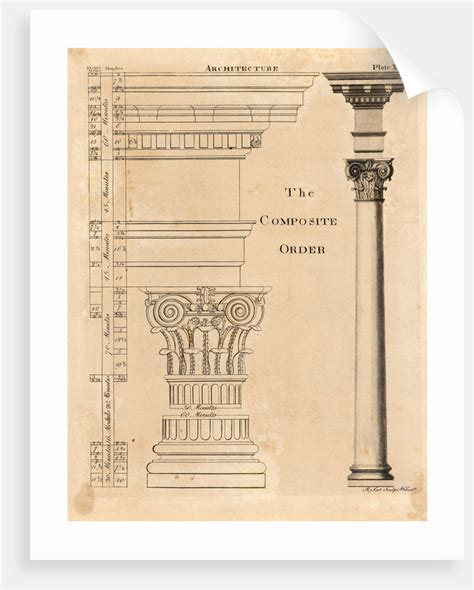 Illustration Composite Order Of Columns Posters And Prints By Corbis