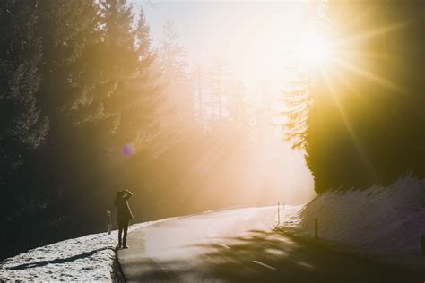 Bright Sunlight In The Forest Royalty Free Stock Photo