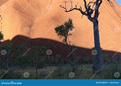 In The Shadow Of Uluru Editorial Photo Image Of Australia 82138201