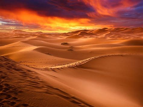 Información Sobre Desiertos Tipos De Desierto Clima Y Accidentes