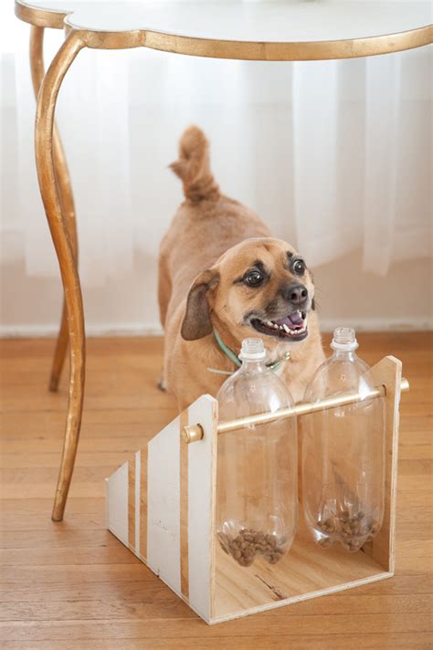 Find the treat puzzle game. Homemade Treat Dispensing Dog Toys | Wow Blog