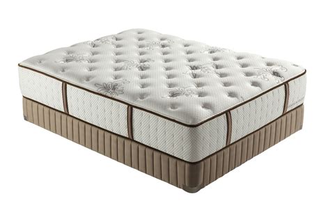 From plush to firm and everything in between, you'll sleep the night away with one of our affordable selections of stearns & foster mattresses. Stearns & Foster Violeta Luxury Firm Mattresses