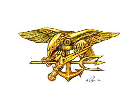 Us Navy Seal Trident Insignia Drawing By Arturo Perez Pixels