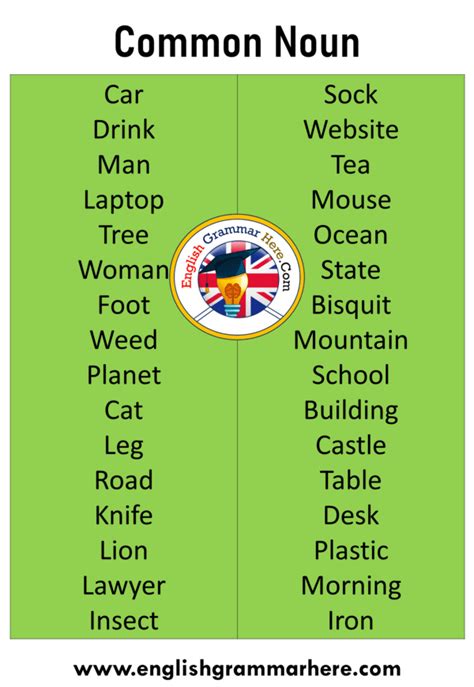 Examples and definition of a noun clause. What is Common Noun with Example, Common Noun List ...