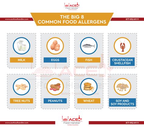 Most Common Allergies Are The Result Of Quizlet