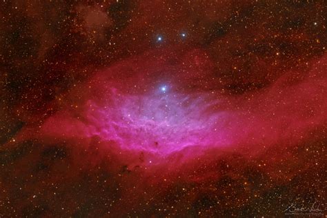 NGC 1499 Astronewton