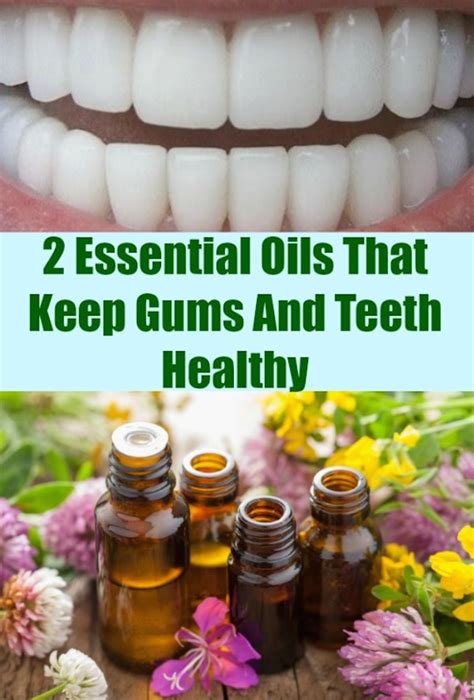 Plaque is a sticky film that forms on the teeth. 2 Essential Oils That Keep Gums And Teeth Healthy