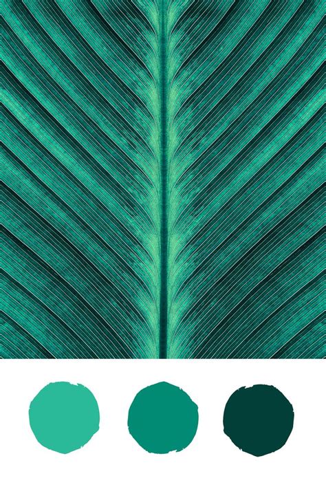 Tropical Plant Green Color Palette Inspiration For Summer