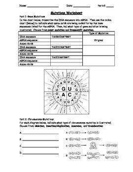 Work power and energy worksheets answers. Genetic Mutations Worksheet Answer Key