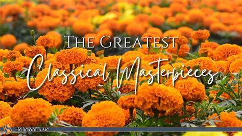 The Greatest Classical Masterpieces Greatful International Music Classical