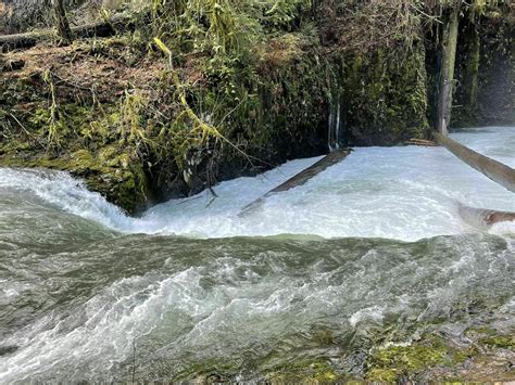 Photos Of Eagle Creek To Punchbowl Falls Closed Oregon Alltrails