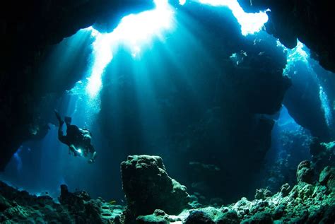 10 New Scuba Diving Desktop Backgrounds Full Hd 1080p For Pc Background