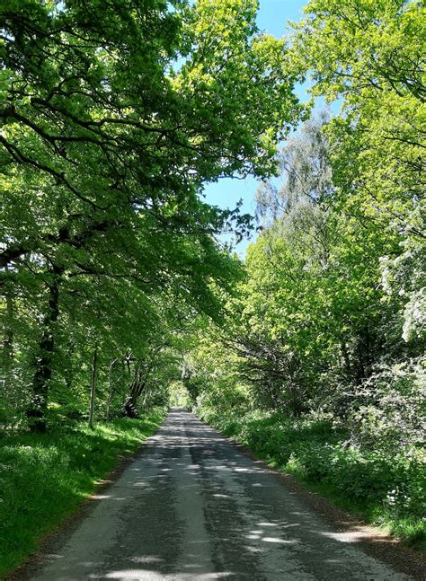 Country Lane In Spring Pretty Places Country Roads Scenic