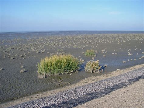 Plan the perfect trip with tripadvisor's unbiased reviews. Waddenzee | Unesco Commissie