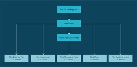 This Diagram Template Shows The Holding Company Structure With Business Operations Operating