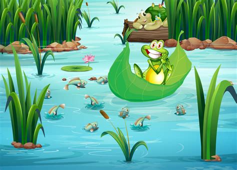 A Playful Frog And A Turtle At The Pond 523066 Vector Art At Vecteezy