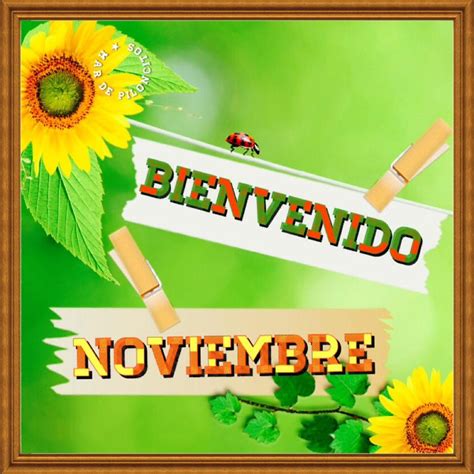 Imágenes De Bienvenido Noviembre Bonitas Con Frases