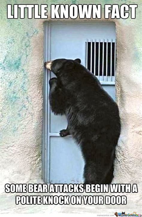 Funny Bear Memes Photos