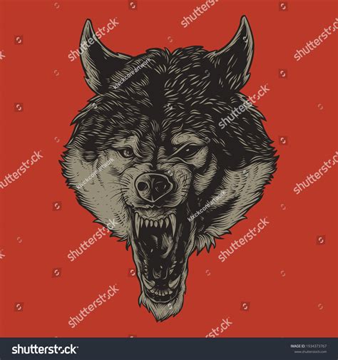 Detailed Angry Wolf Head Illustration Stock Vector Royalty Free