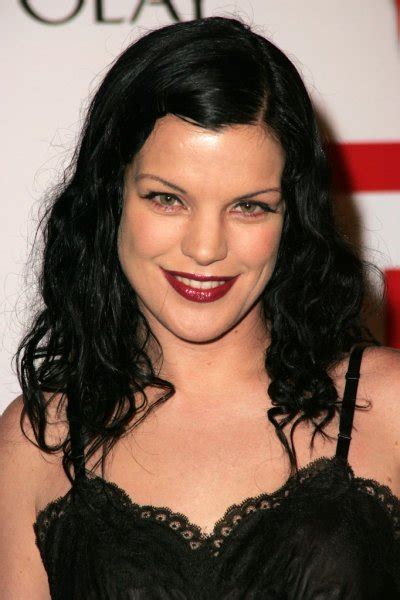 Pauley Perrette Stock Photos Royalty Free Pauley Perrette Images