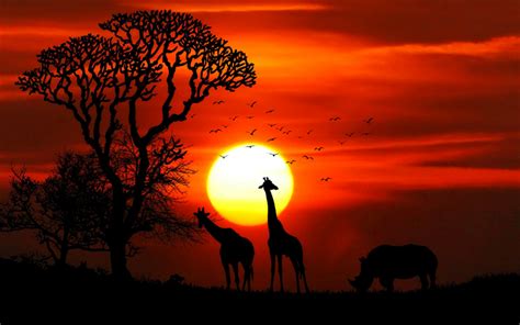 Descargar Fondos De Pantalla En áfrica La Vida Silvestre 4k Giraffes