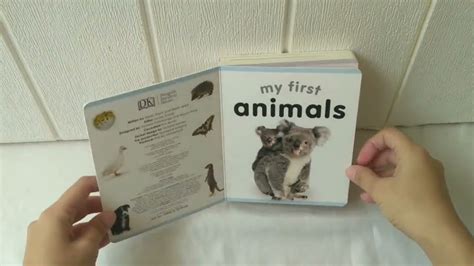 Dk My First Animals Board Book Youtube