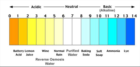 Peat, driftwood, almond leaves ro water. Does Water pH Level Affect Guppy Fish?