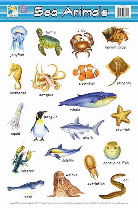 Sea Animals Vocabulary English Grammar Pdf Notes