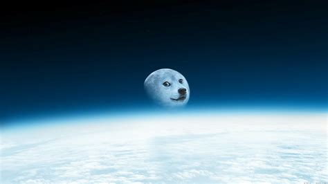 Doge Becomes Moon Doge Moon Background 1920x1080 Wallpaper