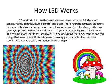 Ppt Effects Of Hallucinogens And Amphetamines On The Brain Powerpoint
