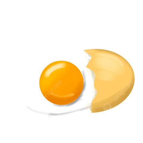Broken Egg Illustration Egg Raw Eggs Chicken Eggs Png Transparent