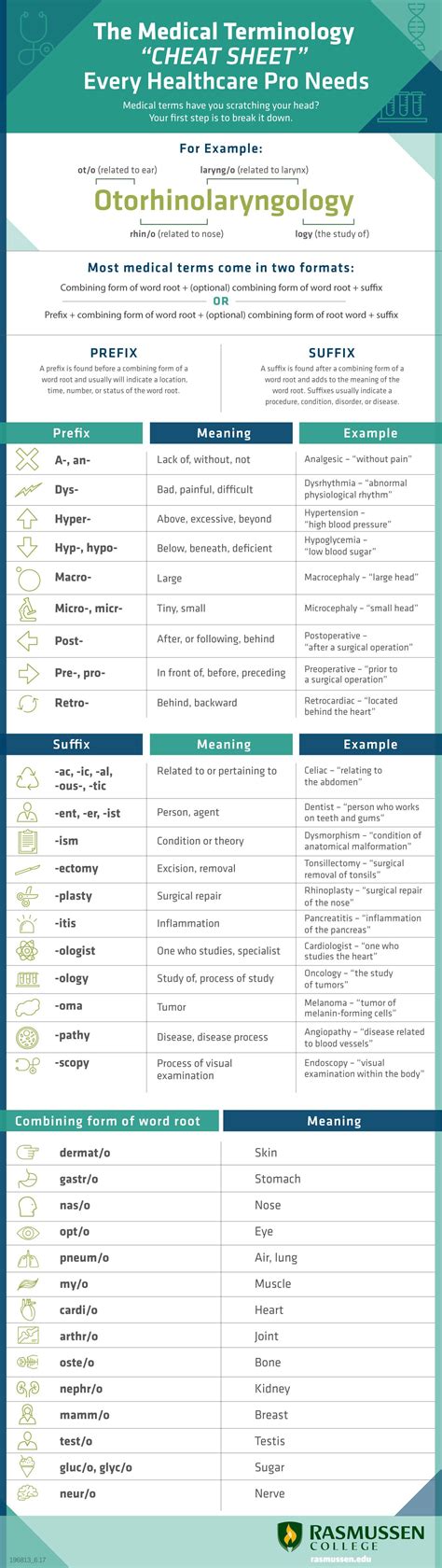 The Medical Terminology Cheat Sheet Every Healthcare Pro Needs