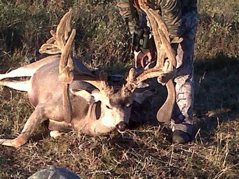 World Record Typical Mule Deer Pope And Young Got Hunts