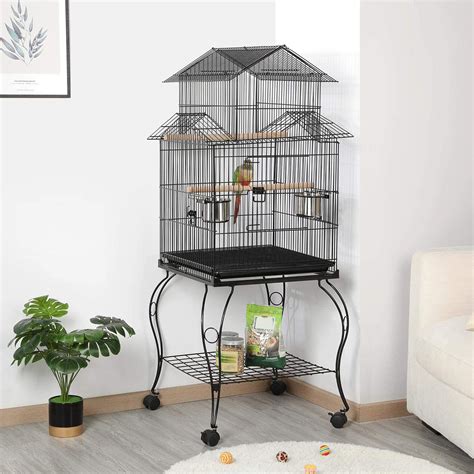 Best Cage For Pionus Parrots Parrot Website